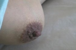 'ATK Pregnant Amateurs' screenshot nº 118