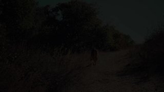 Gazongas Galore - Scene7 - 1
