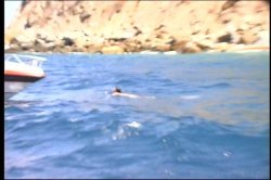 'Morgan Sex Project 3, The' screenshot nº 28
