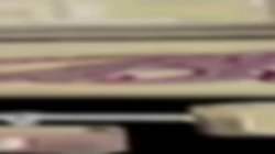 Captura de 'Adult Insider 8' nº 44
