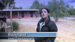 'Adult Insider 9' screenshot nº 15