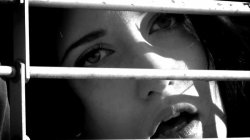 'Adult Insider 9' screenshot nº 23