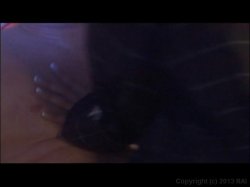 'Gallop On His Pole' screenshot nº 17