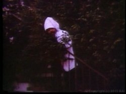 Captura de 'Busty Stars Of Classic Porn' nº 127