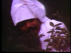 Captura de 'Busty Stars Of Classic Porn' nº 133