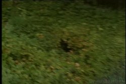 'Body Language' screenshot nº 116