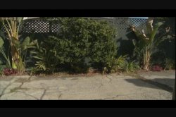Captura de 'Net Skirts 5.0' nº 54