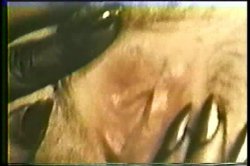 'Porn Mail' screenshot nº 68