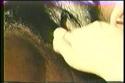 'Porn Mail' screenshot nº 72