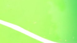'Gardener' screenshot nº 1
