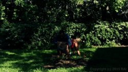'Gardener' screenshot nº 115