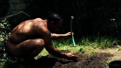 'Gardener' screenshot nº 13