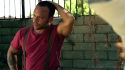 'Gardener' screenshot nº 14