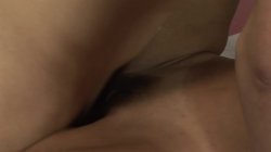 Captura de 'Females on Shemales 8' nº 113