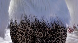 'Cheeky 5' screenshot nº 121