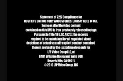 'Hustler's Untrue Hollywood Stories: Lindsay Goes to Jail' screenshot nº 1