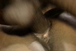 Captura de 'Black Gang Bang Mama' nº 111