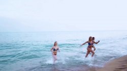 'Bikini Models' screenshot nº 47