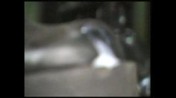 'Money, Sex and Promotions' screenshot nº 119