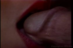 Captura de 'Christy Canyon Screws The Stars' nº 59