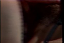Captura de 'Christy Canyon Screws The Stars' nº 65