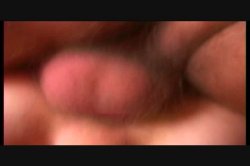 Captura de 'Italian She Male #13' nº 115