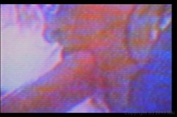 Captura de 'Tori Welles Screws The Stars' nº 6