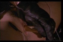Captura de 'Tori Welles Screws The Stars' nº 13