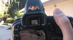 Captura de 'Scale Bustin Babes 34' nº 61