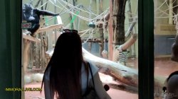 Captura de 'Annoying Step Sister Goes To The Zoo With Her Bro' nº 7