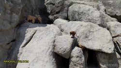 Captura de 'Annoying Step Sister Goes To The Zoo With Her Bro' nº 9