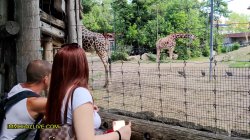 Captura de 'Annoying Step Sister Goes To The Zoo With Her Bro' nº 10
