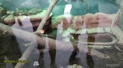 Captura de 'Annoying Step Sister Goes To The Zoo With Her Bro' nº 12