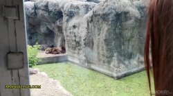 Captura de 'Annoying Step Sister Goes To The Zoo With Her Bro' nº 15