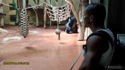 Captura de 'Annoying Step Sister Goes To The Zoo With Her Bro' nº 3