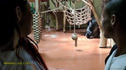 Captura de 'Annoying Step Sister Goes To The Zoo With Her Bro' nº 4