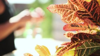 Secret Lovers - Cena2 - 1