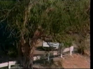 The Pleasure Seekers - Scena5 - 1
