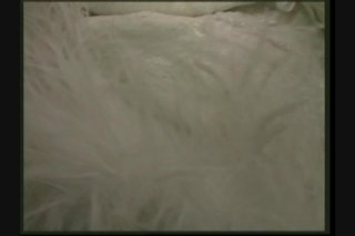 Black Anal Machine - Scene3 - 6