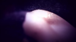 Captura de 'Ariana 4 You' nº 2