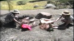 Captura de 'Jungle Amazons' nº 62