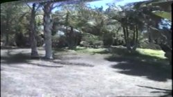 Captura de 'Jungle Amazons' nº 8