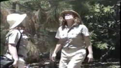 Captura de 'Jungle Amazons' nº 13