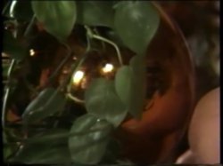 Captura de 'Bad Bride, The' nº 31
