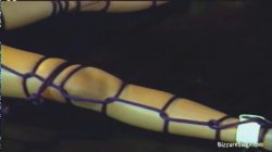Captura de 'Asian Bondage Fantasies 4' nº 91