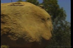 'Naughty Ninja' screenshot nº 77