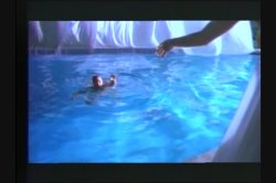 'Black Orchid' screenshot nº 52