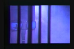 'Black Orchid' screenshot nº 57