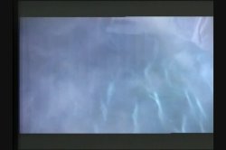'Black Orchid' screenshot nº 111