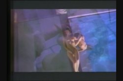 'Black Orchid' screenshot nº 118